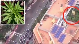 High crimes: Cannabis farm raided by police after being discovered on Vuelta a Espana aerial shots