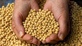US-China trade war boosts demand for Russian soybeans