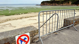 ‘Killer slime’: Highly toxic algae invades France’s picturesque beaches