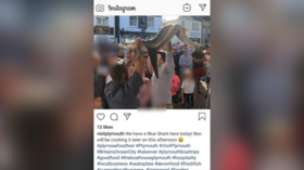 Jaws drop online as blue shark paraded through streets of UK town before being cooked and eaten