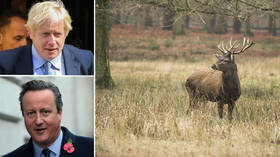 Oh deer: Brexit losing PM Cameron ‘shoots stags and names them after Boris Johnson’