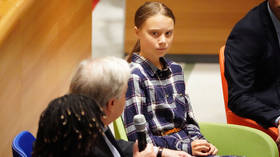 ‘Mass hysteria’: German lawmakers warn Greta Thunberg’s climate activism threatens rational debate