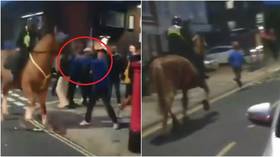 WATCH: Football thug ‘PUNCHES POLICE HORSE’ before it chases him down the street and he's tackled by baton-wielding officers