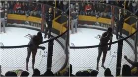 Punch drunk: Brazilian MMA fighter swigs beer from crowd in between rounds (VIDEO)