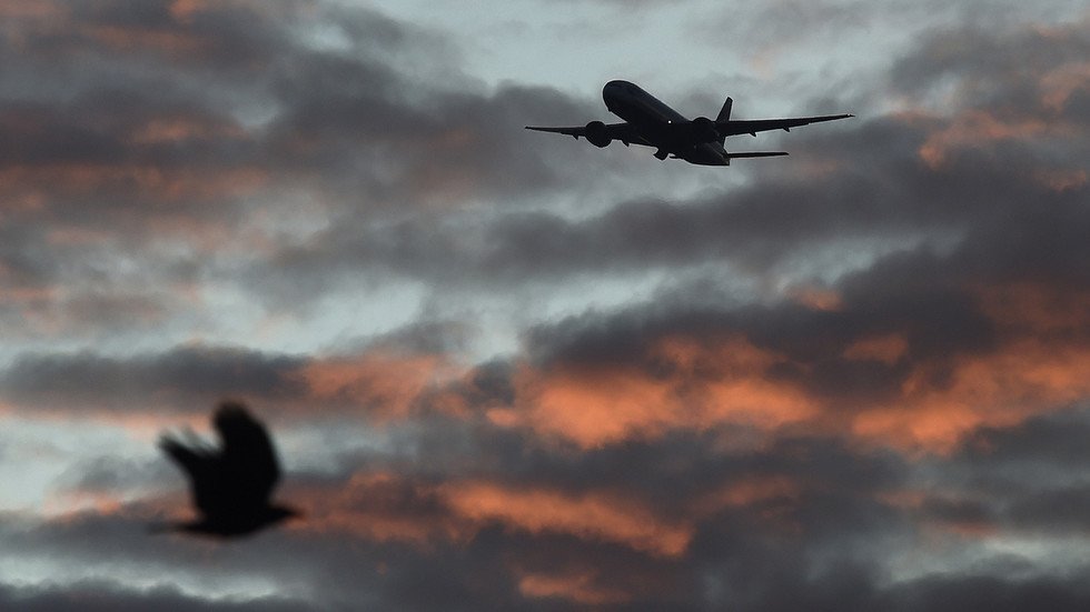 Pilot catches bird EXPLODING on VIDEO after colliding with Russian ...
