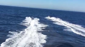 From smugglers to saviors: Drug traffickers arrested despite RESCUING cops from drowning during Spanish speedboat chase