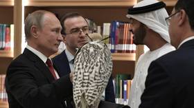 Putin gifts another gyrfalcon to UAE crown prince, after receiving lavish golden model (VIDEO)