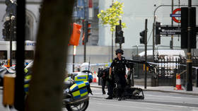 Bomb squad called in over suspicious package near UK parliament (PHOTO)