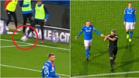 Karate-kicking keepers, touchline tear-ups and stupid substitutes: The 10 CRAZIEST moments of the Bundesliga season so far (VIDEO)