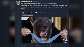 ‘Hard-hitting journalism’: Reporter FACT-CHECKS blatantly photoshopped image of ‘American hero dog’ being honored by Trump