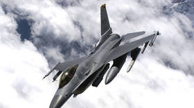 Pentagon ‘investigating’ after US warplane drops training munition on Japanese VILLAGE