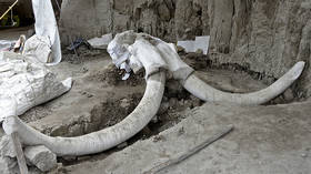 Suspected ancient MAMMOTH TRAPS uncovered in Mexico City, bones of some 14 giant beasts found (PHOTOS)