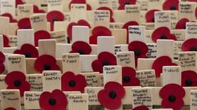 The rainbow poppy? No, thanks. I'll wear the red one to remember EVERYONE who gave their lives