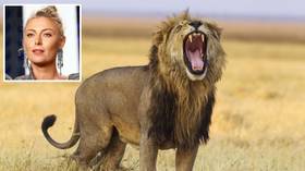 ‘It pierced through the entire delta!’ Maria Sharapova frightened by lion’s roar during safari trip (VIDEO)