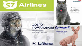 Aeroflot’s infamous fat feline crackdown prompts ‘outpurring’ of aviation cat MEMES