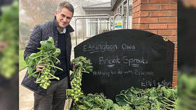Gavin Williamson and Brussels sprouts: The recipe for killing a joke stone dead