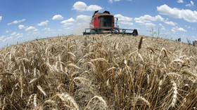 Syria to get 5,000 tons of grain from Russia’s Crimea