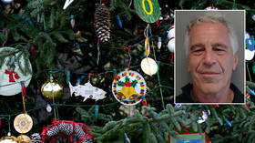 What do ’Christmas ornaments, drywall, & Epstein’ have in common? Senator demands answers on prison ‘suicide’