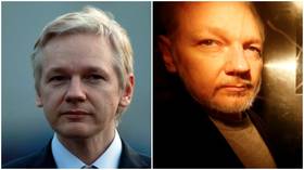 Assange treated as terrorist by UK, it's ‘almost murder by state’, doctors warn WikiLeaks founder may die in jail