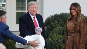 ‘Vultures’ already subpoenaed by Schiff: Trump trolls media & Democrats at traditional turkey pardoning ceremony