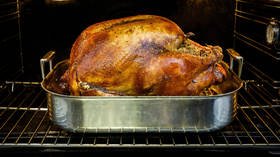46,000,000 turkeys consumed: How much energy do Americans use on Thanksgiving?