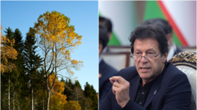 ‘Professor’ Imran Khan lampooned on social media after claiming trees release oxygen at night