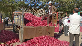 Not from a family of onion-eaters? India’s finance minister takes heat for ‘insensitive’ remark during vegetable price hike debate