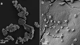 Heavy metal diet: Meteorite-consuming microbes could offer clues on how life formed on Earth
