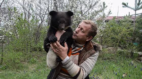 ‘30 BEARS to be killed’ as Europe’s largest safari park closes in Crimea, owner warns