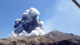 ‘No signs of life’: NZ PM says foreign tourists among those hit by White Island volcanic eruption