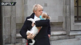 BoJo & Sadiq Khan take their pooches to the voting booths on election day, as #DogsAtPollingStations trends