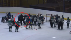 Send the coach to the box: Ukrainian hockey coach takes part in mass brawl with 11-year-old players (VIDEO)