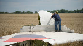 Russia ready to share all info required by MH17 crash investigators as Netherlands now seeks Moscow's help