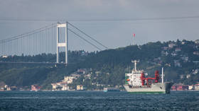 Turkey's busy Bosporus Strait closed down after cargo ship CRASHES into shore (VIDEOS)