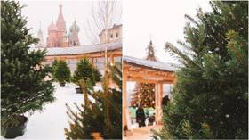 ARTIFICIAL snow and Christmas trees in pots – did you ever imagine Russian winter holidays looking like THIS?