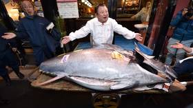 $1.8 million for a FISH: Japan’s ‘Tuna King’ spares no expense to get 2nd-priciest tuna (VIDEO)