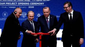 Full stream ahead: Russia & Turkey launch TurkStream gas pipeline