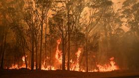 Australian Army tells residents they have 5 MINUTES to pack up and FLEE as uncontrollable fires descend on town
