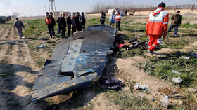 Iran to announce preliminary cause of Ukrainian Boeing crash on Saturday – report