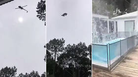Pigs will fly: Animal carcass hurled into millionaire’s pool from chopper in apparent prank (GRAPHIC VIDEO)