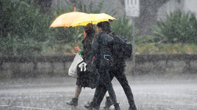 VIDEOS capture frolicking cows and saturated Sydney as rain brings relief to Australia’s scorched south-east