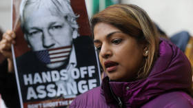 ‘We simply can’t get in’: Assange lawyer complains about lack of access to WikiLeaks founder