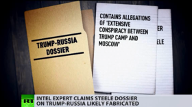 West v. Steele: Trump-Russia dossier was ‘FABRICATION,’ colleague & spy expert revealed… YEARS ago