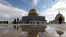 Al-Awkward? Trump trips over iconic mosque's name as he unveils long-awaited Middle East peace plan