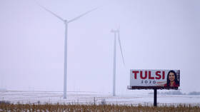 ‘Why are you voting for Putin?’ Tulsi Gabbard supporters harassed at Iowa caucuses