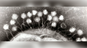 It’s… alive! Scientists discover GIANT viruses that blur line between the living & the dead