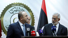 Turkey’s guarantees in Libya depend on durable ceasefire – FM Cavusoglu