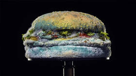 Make no mistake: Burger King’s vaunted ‘real food’ burger without additives will still KILL YOU