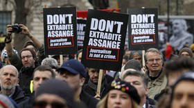 ‘First they came for Julian, next for you’: Waters, Westwood join massive London rally against Assange extradition (PHOTOS)