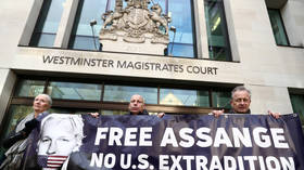 OSCE media freedom rep calls on UK not to extradite Assange due to ‘excessive’ US prison sentence